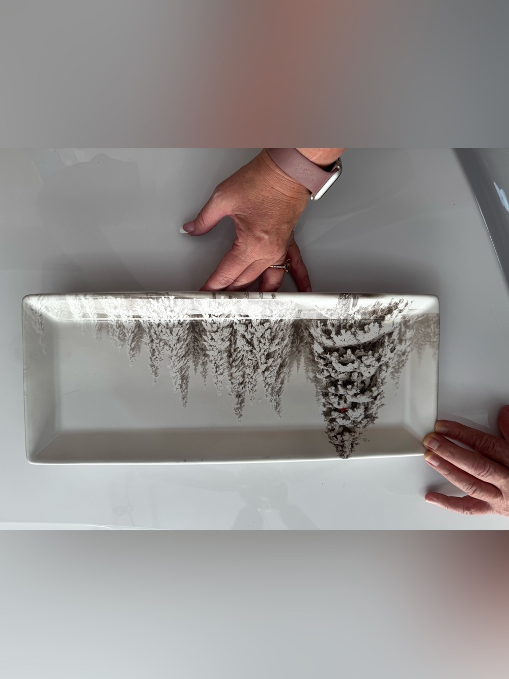 Pier 1 winter forest 16" Winter Tree Rectangular Serving Platter White and Gray